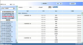 财务信息综合查询系统前端浏览用户使用说明