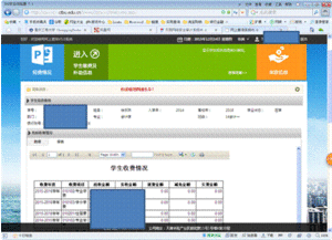 财务信息查询手册