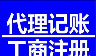 公司注册 纳税申报 代理记账 一对一服务 专业快捷